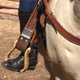 Image for article titled Horse: The Jalopnik Review